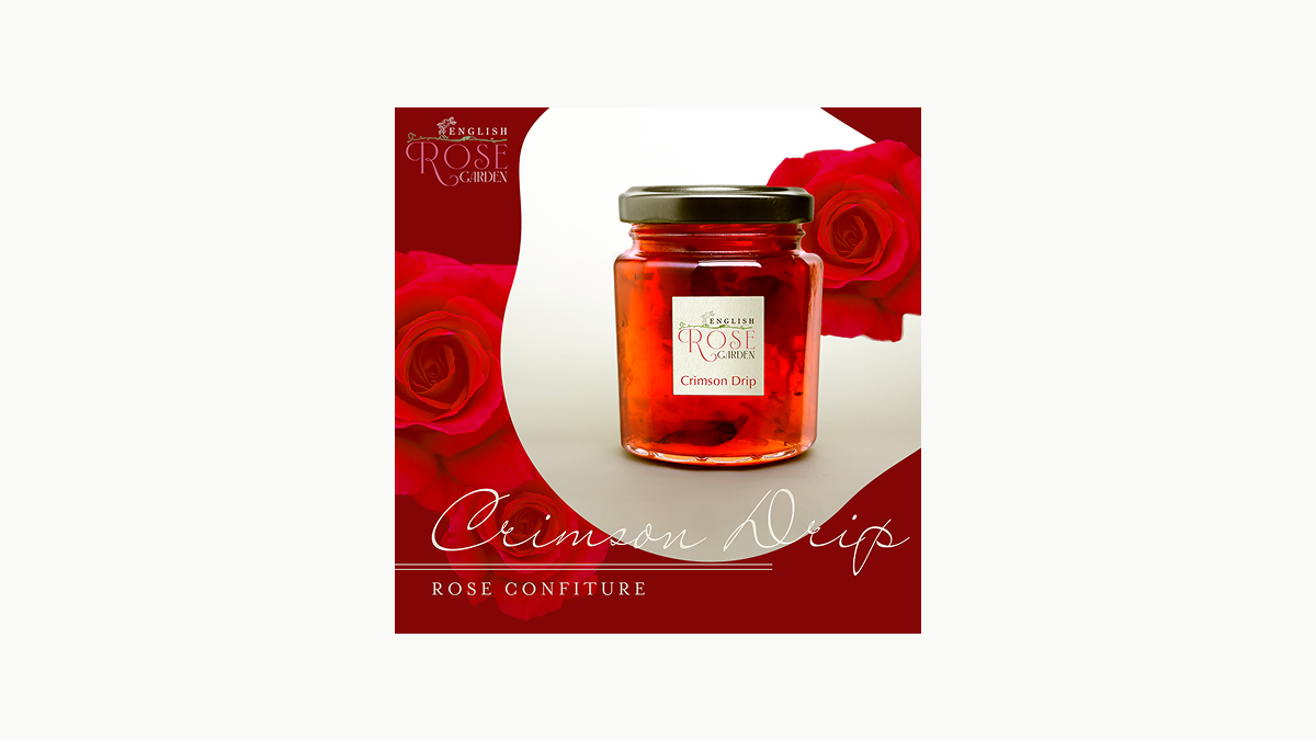 Adobe Creative College 01