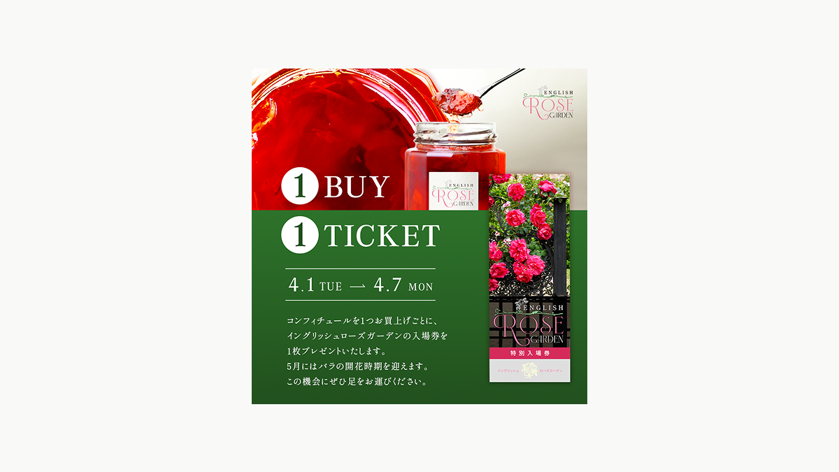 Adobe Creative College 03