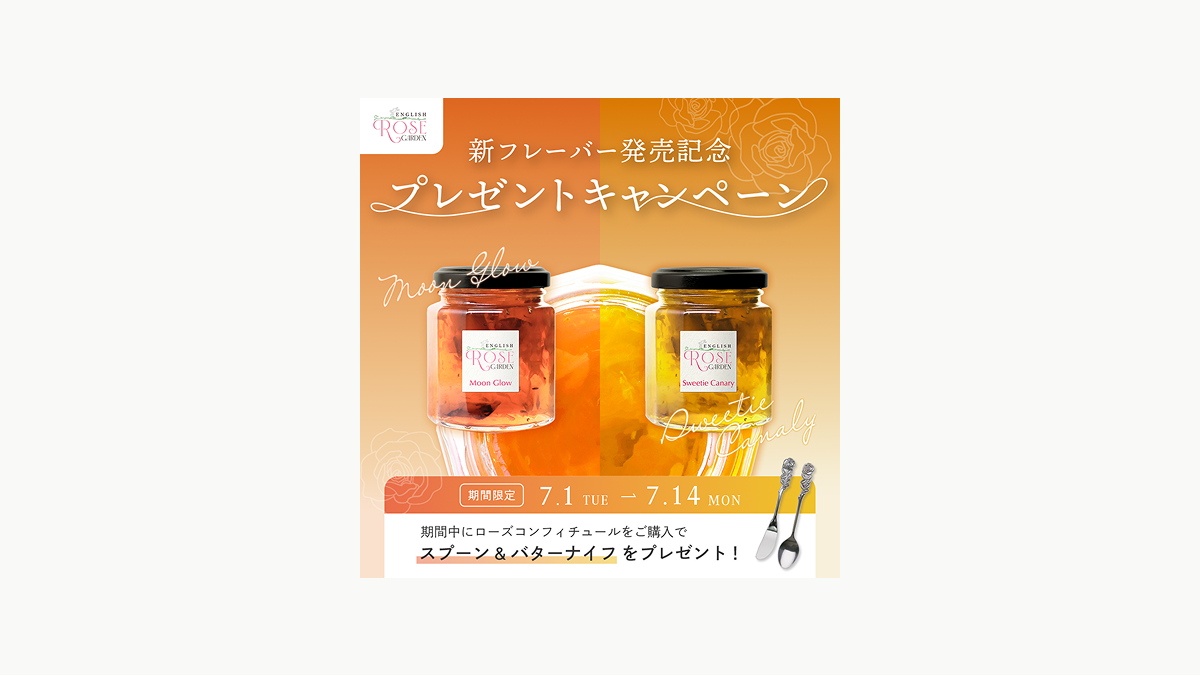 Adobe Creative College 04